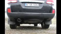 Japanischer Kraxler
