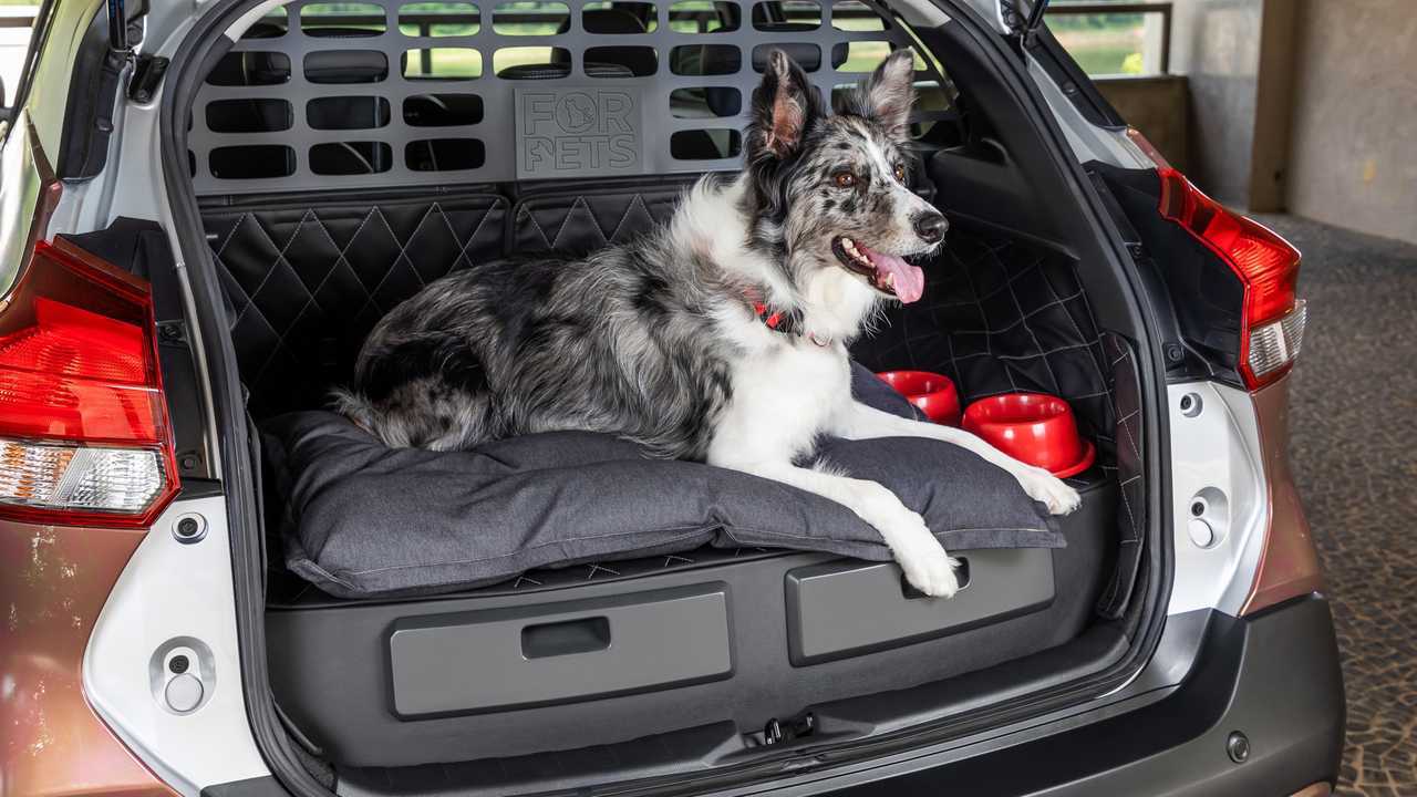 Nissan Kicks For Pets