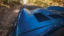 1955 Jaguar D-Type