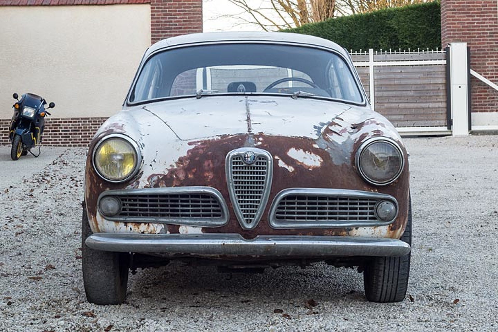 this 63 alfa romeo barn find is for sale rust included rust sale