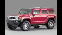 Kleiner Hummer kommt