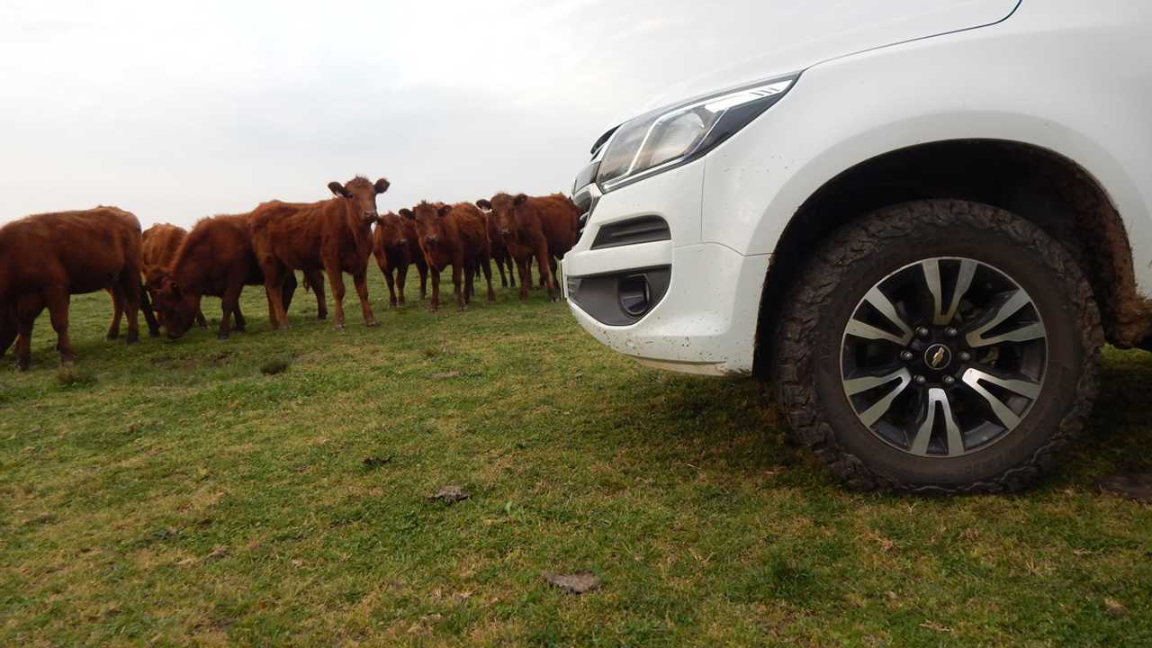 Opinión: “Se buscan pick-ups que piensen de verdad en el usuario del campo”