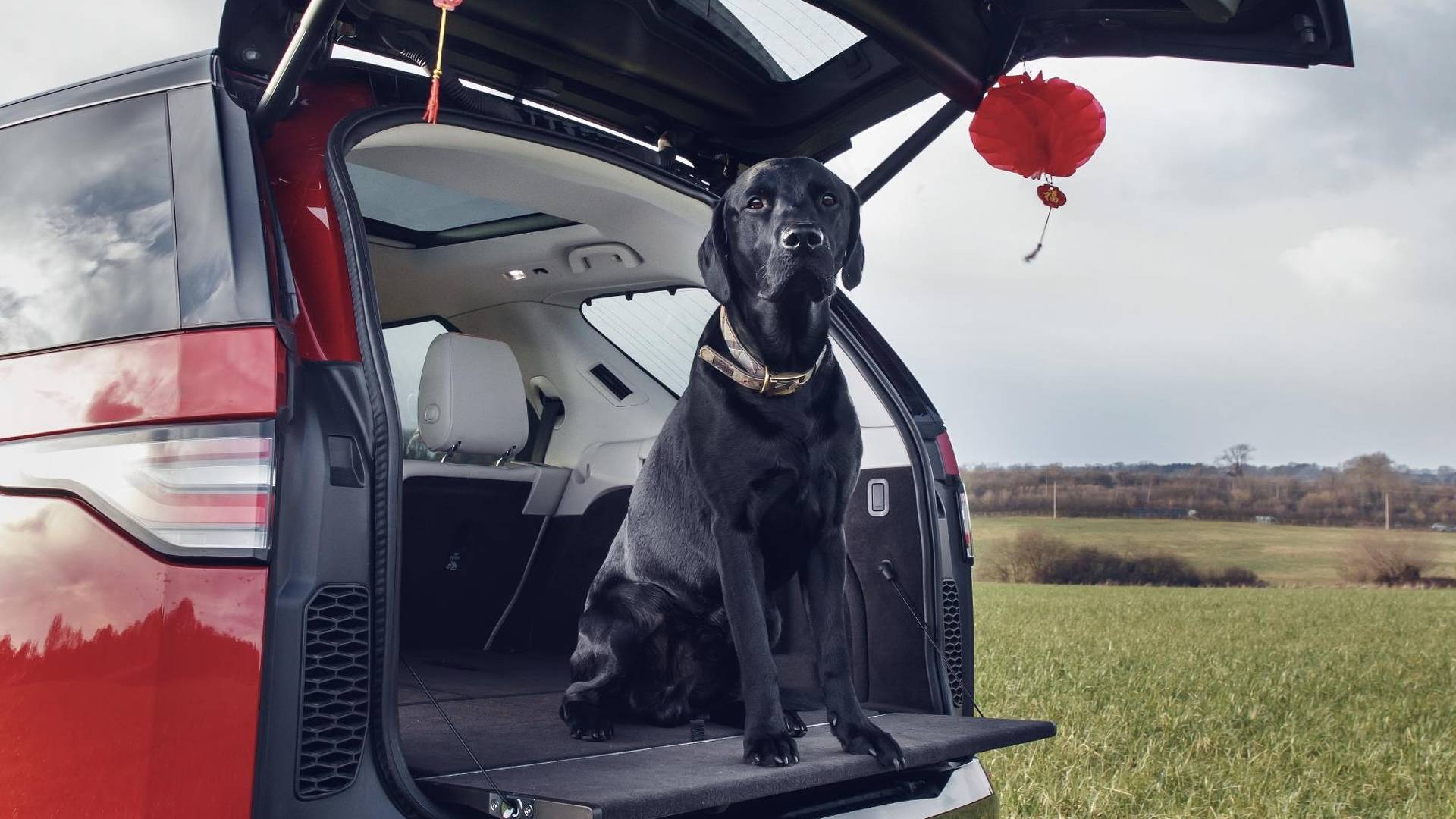 Land Rover in the Year of the Dog with new pet packs
