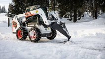 Bobcat Neve