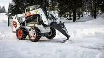 Bobcat Neve