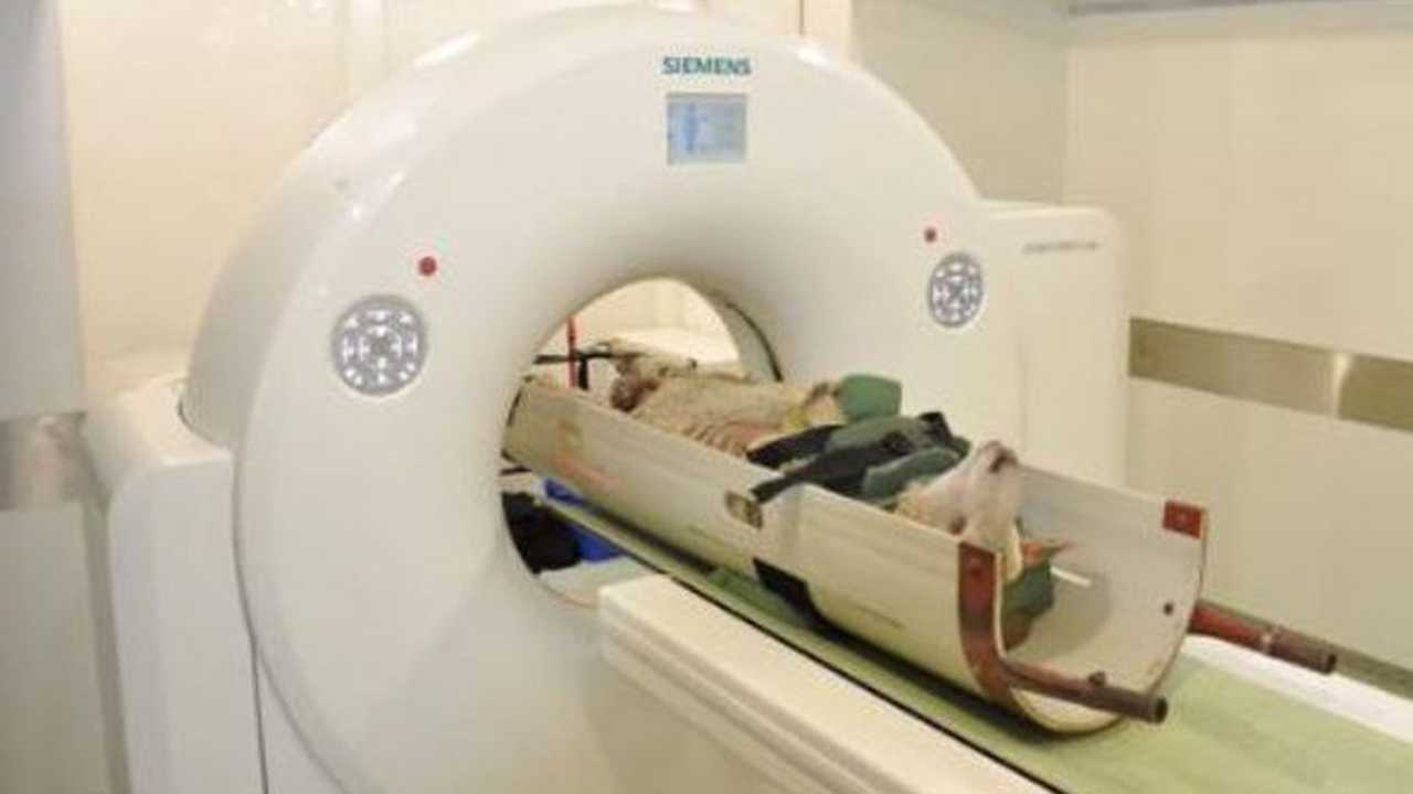 RUC: la TAC zootecnica per la qualità della carne