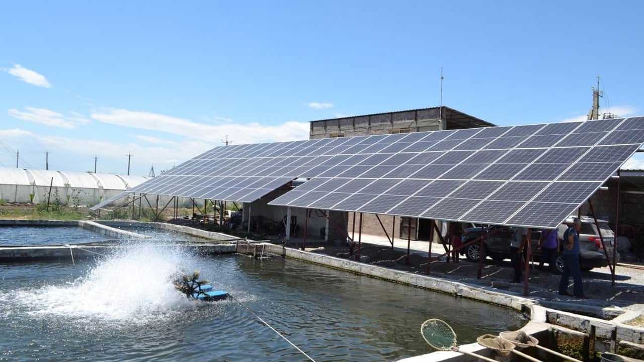 Fotovoltaico in azienda agricola