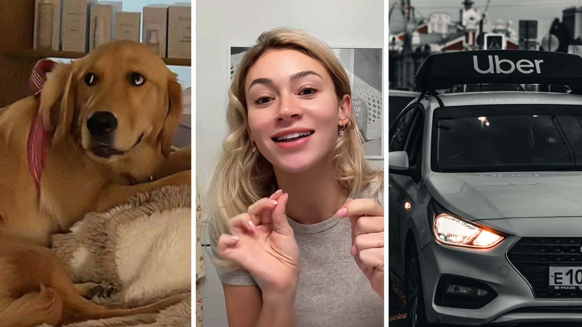 Woman Orders Uber Pet. Then The Driver Refuses To Let Her Golden Retriever In Th...