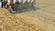 Strip till per soia: preparare il letto di semina solo in fila