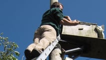 Gli escrementi degli uccelli causano corrosione, cortocircuiti e rischi d'incendio sui trattori. Dieci soluzioni pratiche per tenere gli uccelli fuori dal capannone