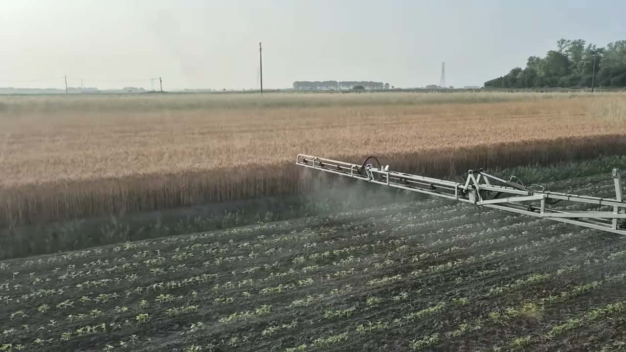 Integrazione tra diserbo chimico e meccanico in soia post emergenza per gestire infestanti, resistenze e rotazioni in agricoltura conservativa
