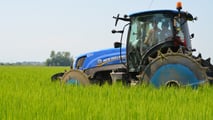 Riso italiano: Ue conferma dazi zero, a rischio 4 miliardi