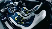 Apollo EVO (2026) Caribbean Dragon