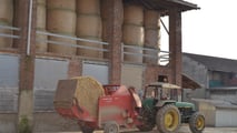 Cessione ramo d'azienda agricola: il contratto di locazione segue