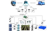 Sensori e sistemi smart per gestire la fertirrigazione del mais a goccia
