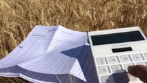 Seme certificato o autoriprodotto: quale conviene davvero?