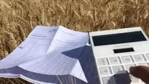 Seme certificato o autoriprodotto: quale conviene davvero?