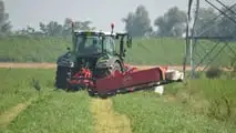 Fendt 313 Vario Profi: TEST CLASSIC
