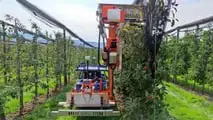 Slopehelper: robot agricolo elettrico per la viticoltura