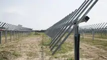 Bobcat in campo nel Delta del Po: i mezzi protagonisti di un maxi impianto agro-fotovoltaico a Loreo