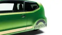 2024 Geparda