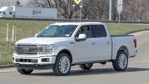 2019 Ford F-150 Limited casus fotoğraf