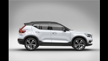 Schwedische SUV-Schönheit