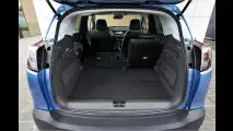 Meriva-Erbe mit französischer DNA