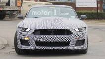2019 Ford Mustang GT500 Spy Shots