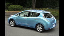 Weltweit E-Autos fördern