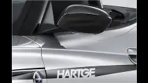 Entfesselter BMW Z4