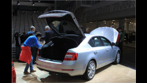 Der neue Octavia