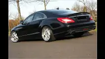 Kronjuwelen für Sternträger