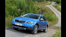 Octavia Scout: Fix weg im Dreck