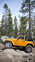 Jeep Wrangler Rubicon 10th Anniversary Edition