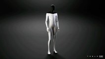 Tesla Bot
