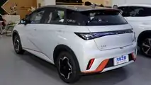 BYD Dolphin 2021