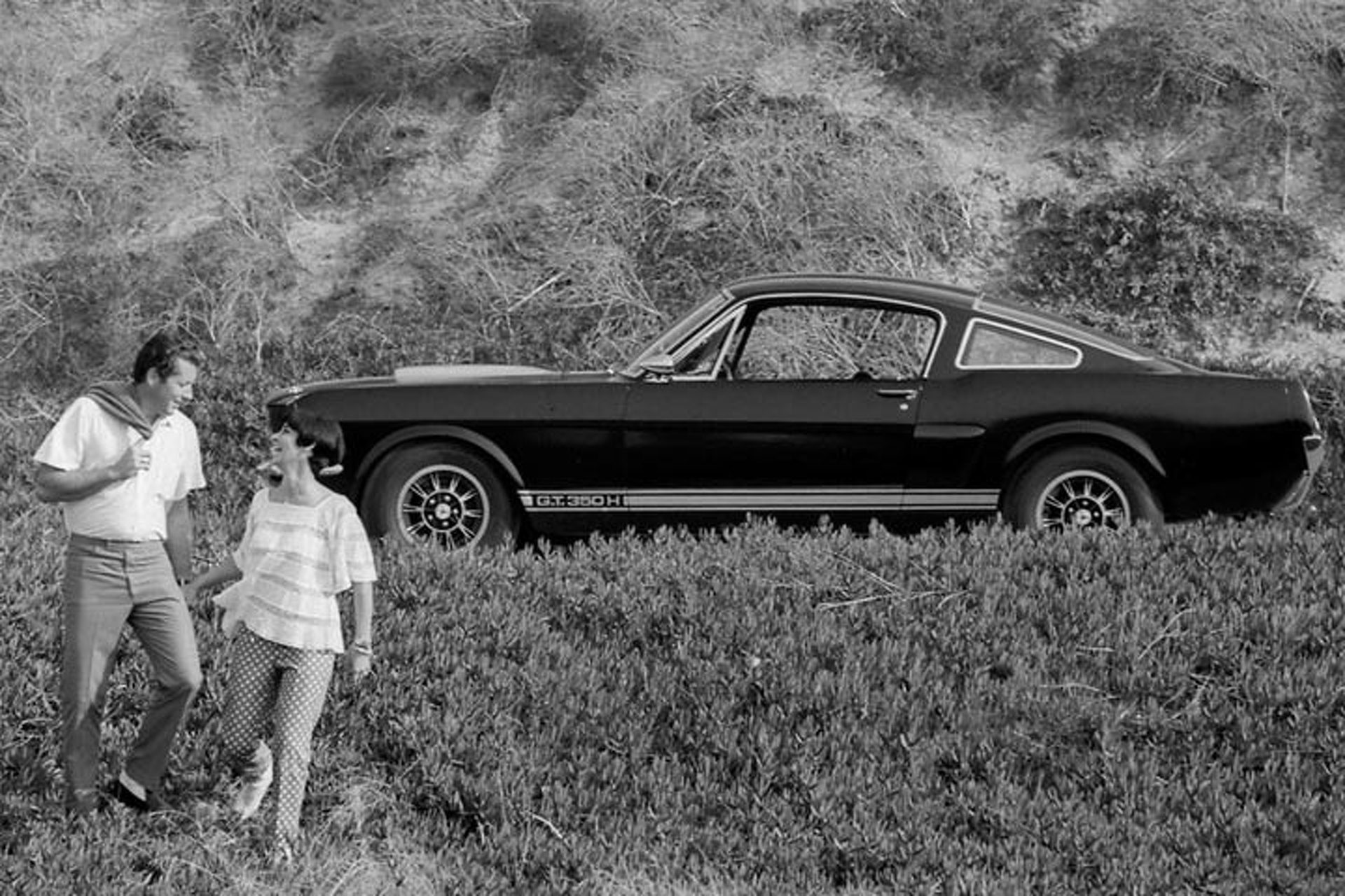 Shelby GT350H 'Rent-a-Racer' Brought Muscle to Masses