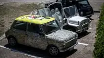 International MINI Meeting 2023