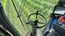 Foto - New Holland Braud 9090 L vendemmiatrice polivalente