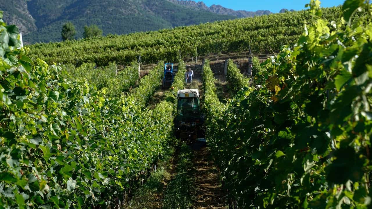 Enovitis extrême 2023 e la viticoltura eroica