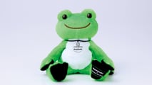 Kawasaki x Pickles the Frog