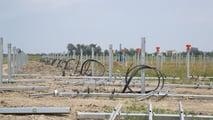 Bobcat in campo nel Delta del Po: i mezzi protagonisti di un maxi impianto agro-fotovoltaico a Loreo