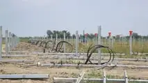 Bobcat in campo nel Delta del Po: i mezzi protagonisti di un maxi impianto agro-fotovoltaico a Loreo