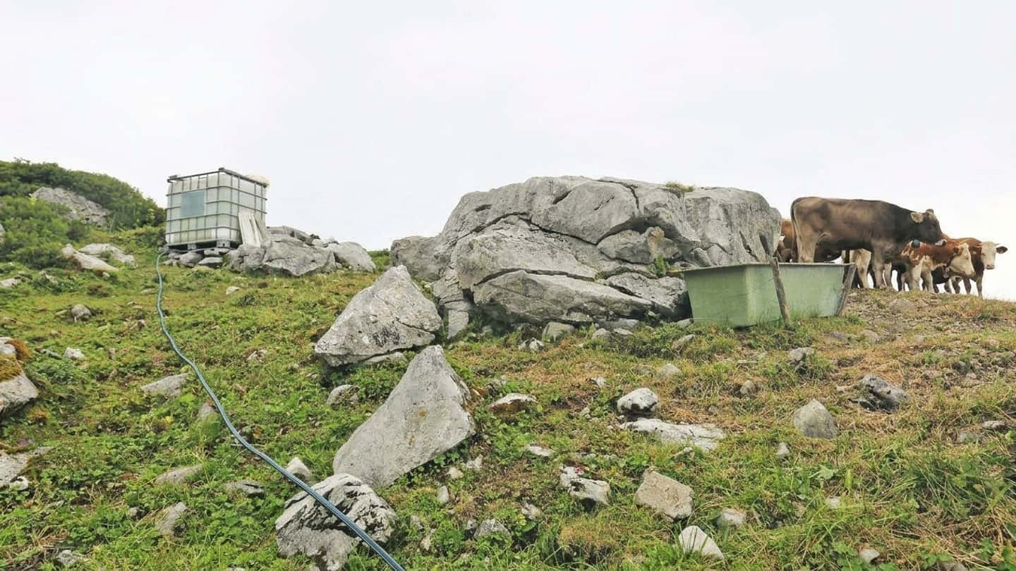 Aiuti federali per l’agricoltura colpita dalla siccità