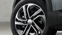 GWM Jolion Max