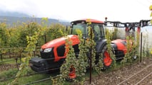 Nuovi agrofarmaci vite 2026: cosa entra davvero in vigneto
