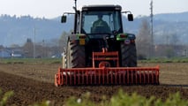 Impatto dell’IMU agricola sul costo dei terreni, differenze tra regimi e criteri per stimare il carico fiscale nei piani di investimento fondiario

