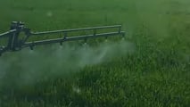 Checklist tecnica per valutare fungicidi, ugelli antideriva e strategie economiche nella difesa sostenibile del grano duro in azienda agricola
