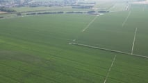 Pomodoro da industria sostenibile: irrigazione, suolo e meccanizzazione